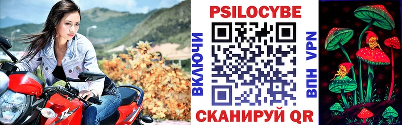 Галлюциногенные грибы Psilocybe  Ядрин 